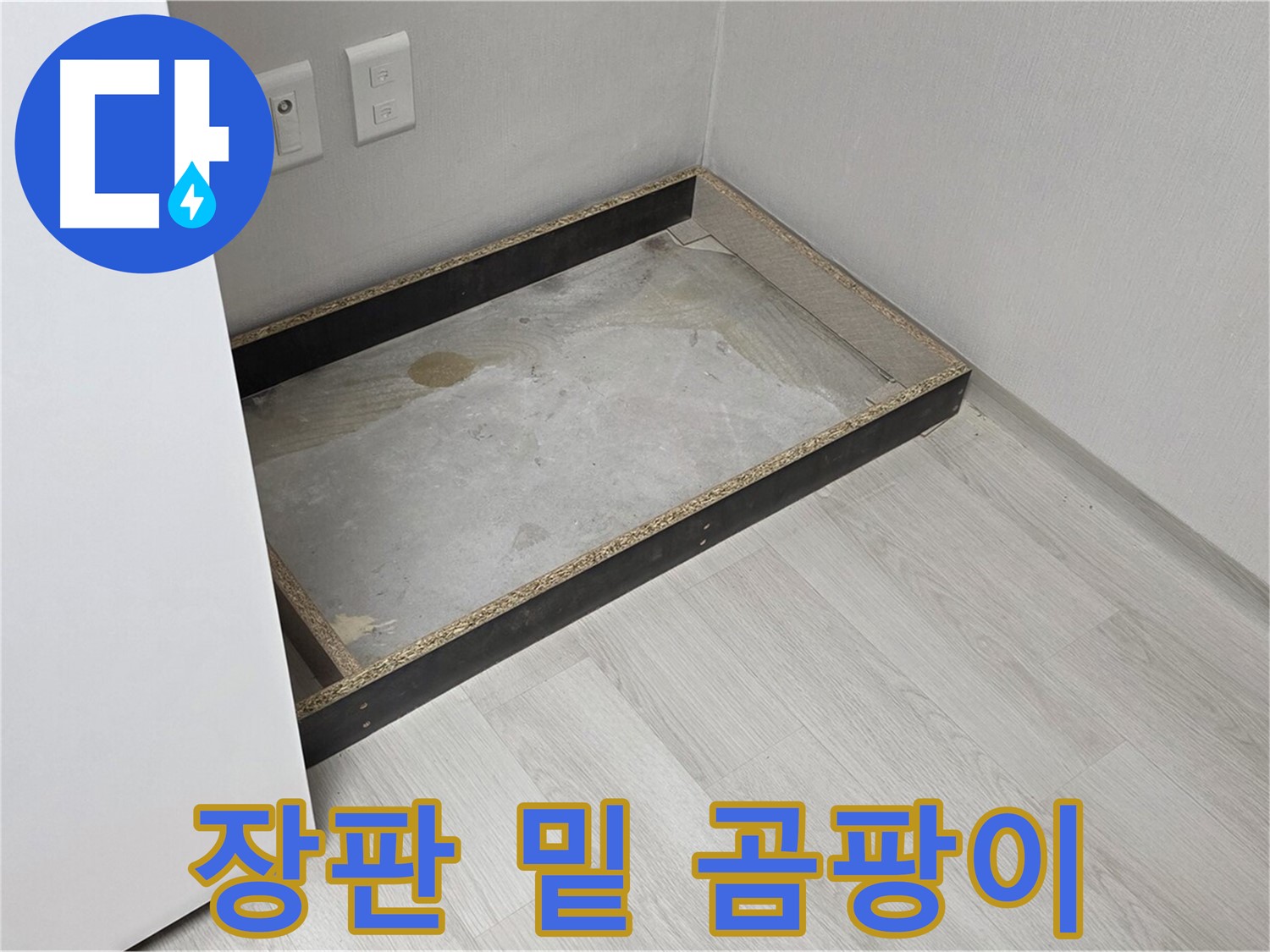 장판 밑 곰팡이 - 건강 위협