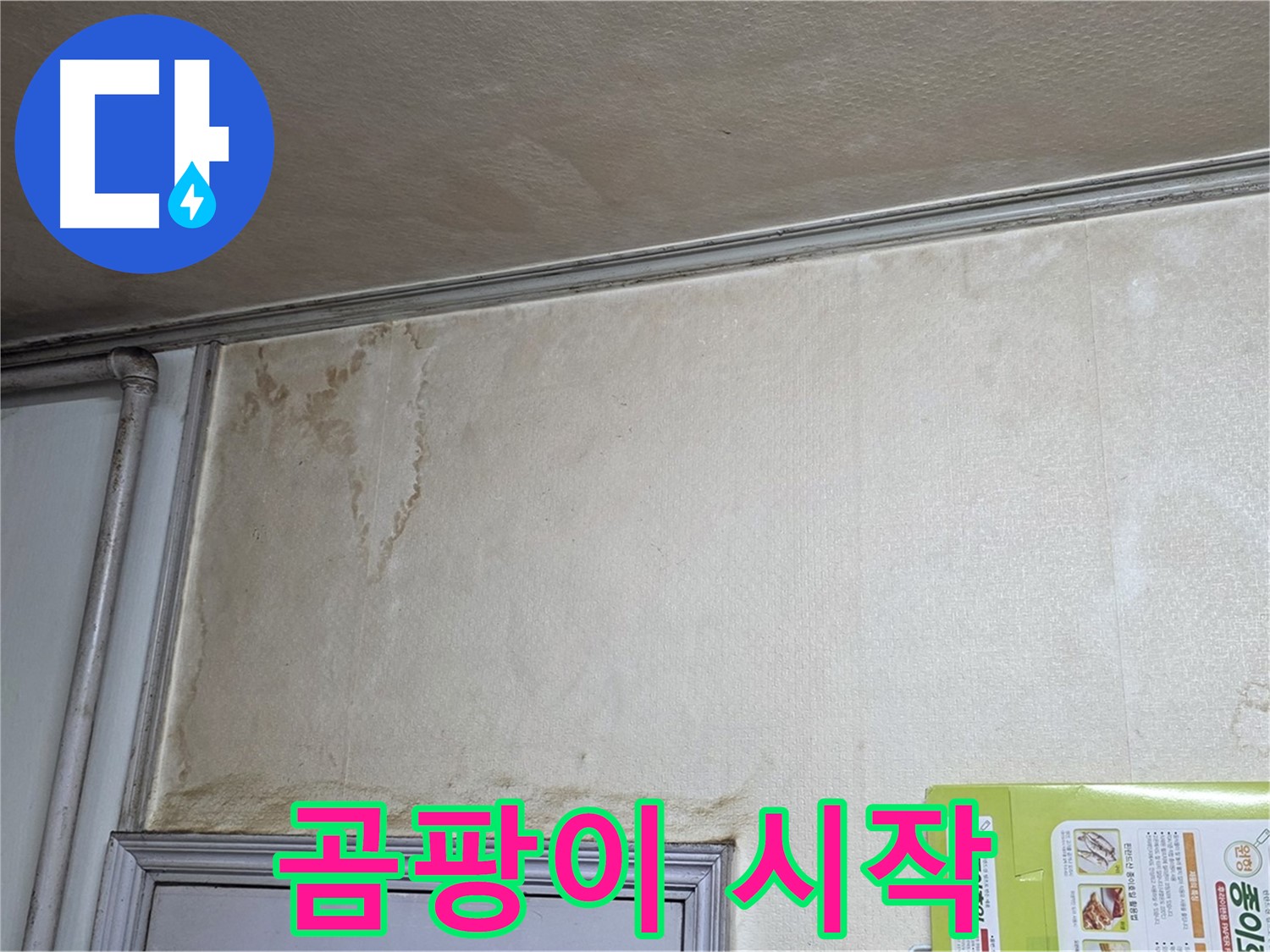 구갈동 아파트 - 곰팡이 슬기 시작 누수