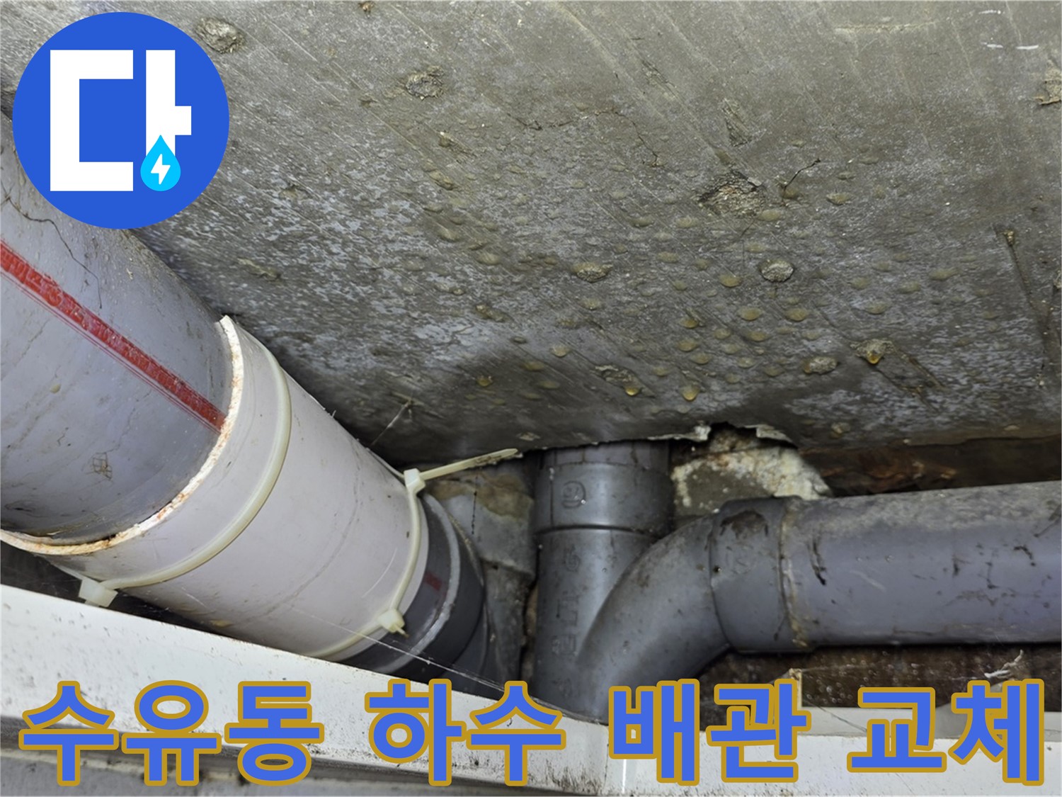 수유동 삼광빌라 하수 배관 누수 - 신속한 교체로 문제 해결