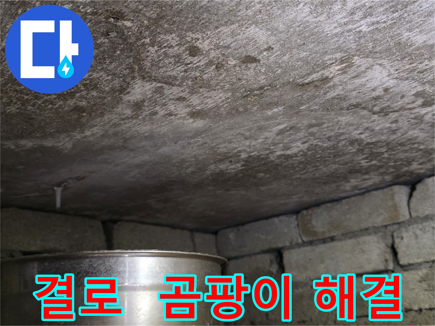 용인 처인구 원일아파트 - 결로와 곰팡이 문제 해결 전문