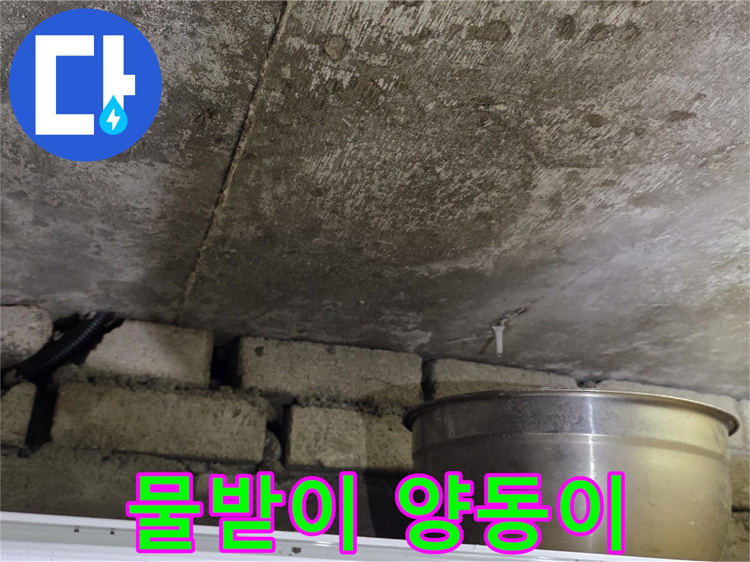원일아파트 누수 현장 - 천장에서 떨어지는 물을 받기 위해 놓인 물받이 양동이.