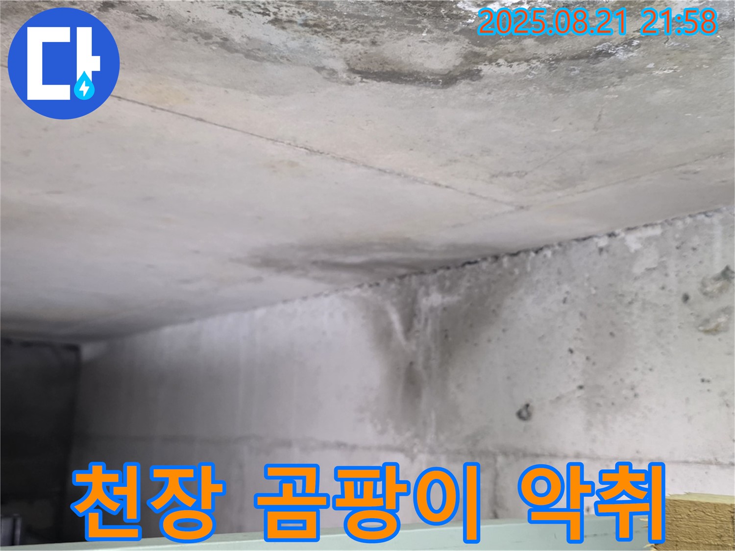 마두동 누수 현장 - 콘크리트 천장에 누수로 인해 곰팡이가 심하게 발생하고 악취까지 나는 상황입니다.