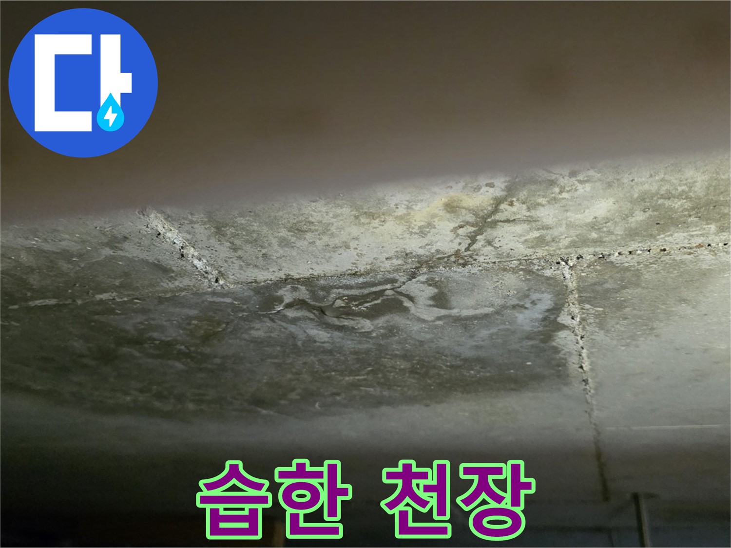 일산서구 가좌동 아파트 습한 천장 - 누수 가능성 진단 및 긴급 점검