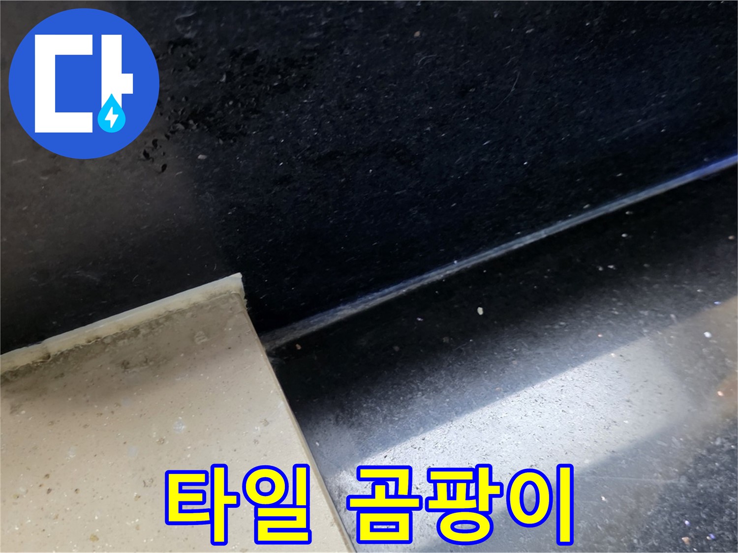 일산서구 탄현동 하이파크 인근 타일 곰팡이 - 누수와 곰팡이의 연관성을 보여주는 이미지입니다.