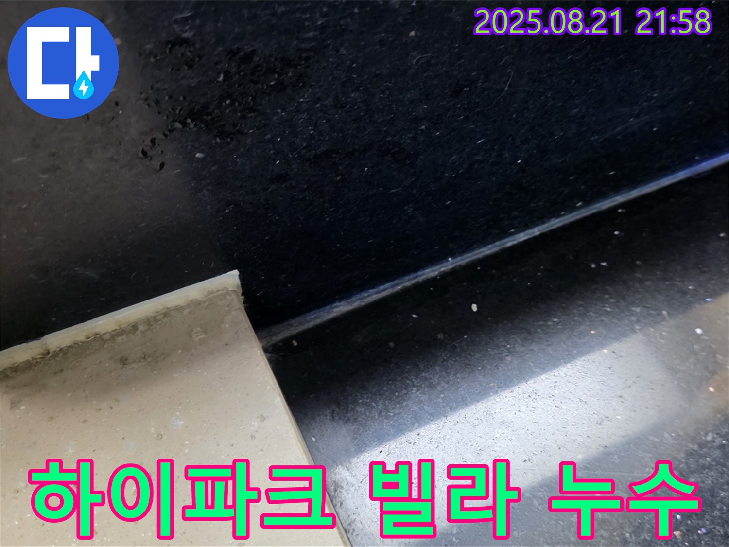 일산서구 하이파크 빌라 욕실 누수 - 타일 틈새 곰팡이와 습기로 인한 누수 의심 지점