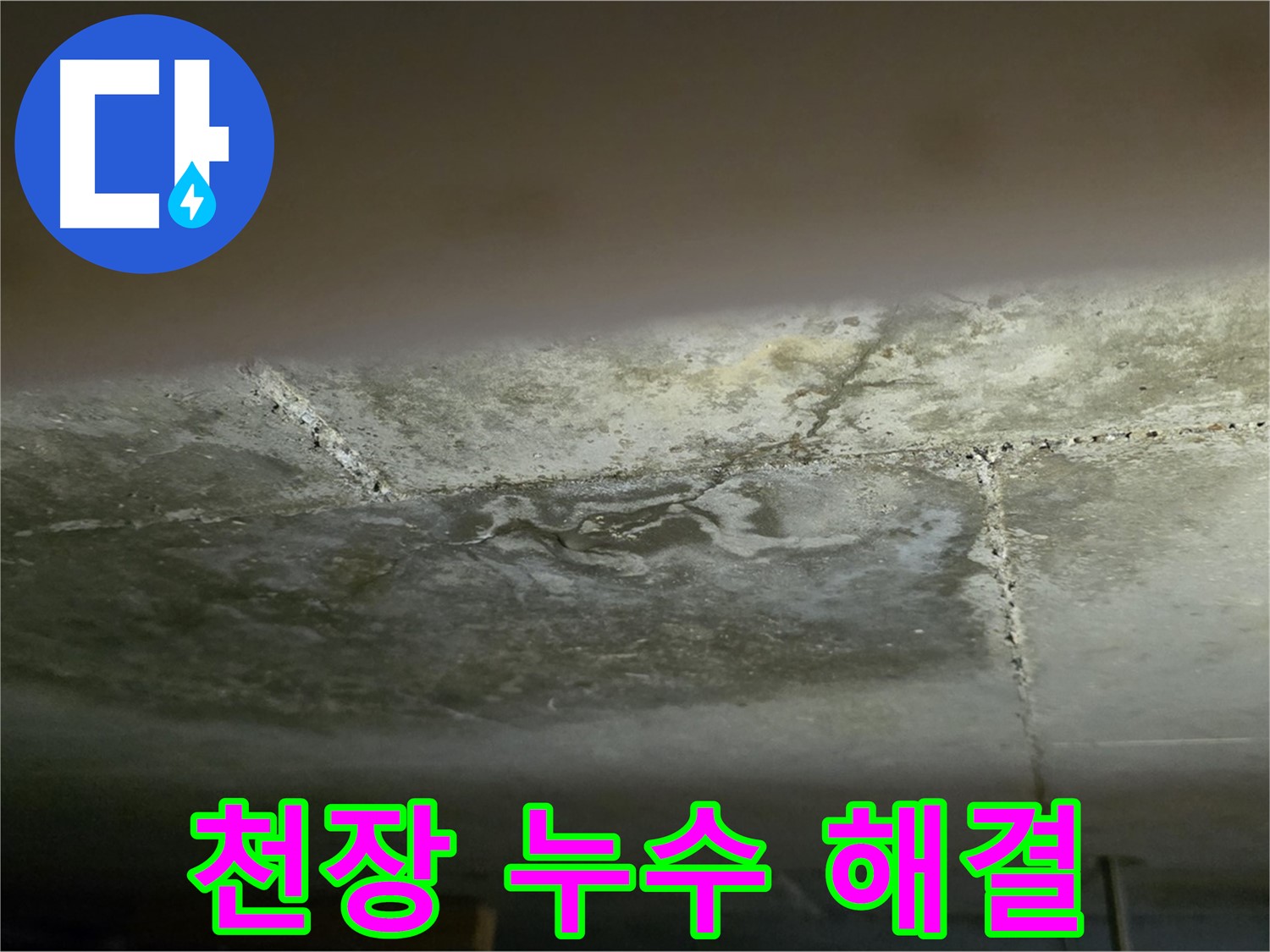 일산서구 하이파크 아파트 천장 누수 해결 - 투명하고 합리적인 견적