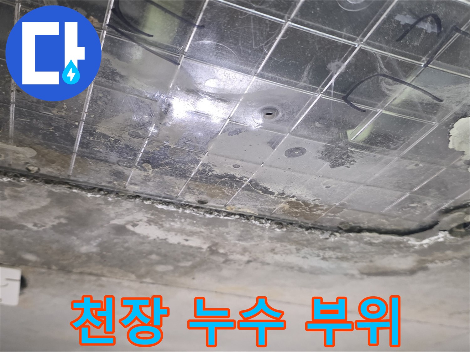 천장 누수 부위 - 천장에 물방울이 맺혀 떨어지고 있는 모습입니다.
