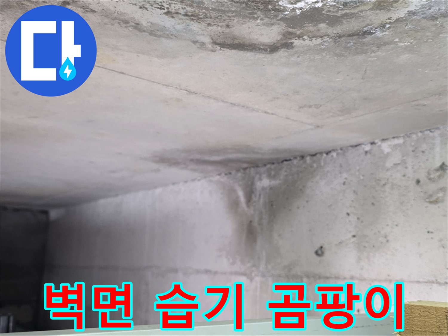 콘크리트 벽면 습기 - 일산서구 누수, 곰팡이 발생 위험
