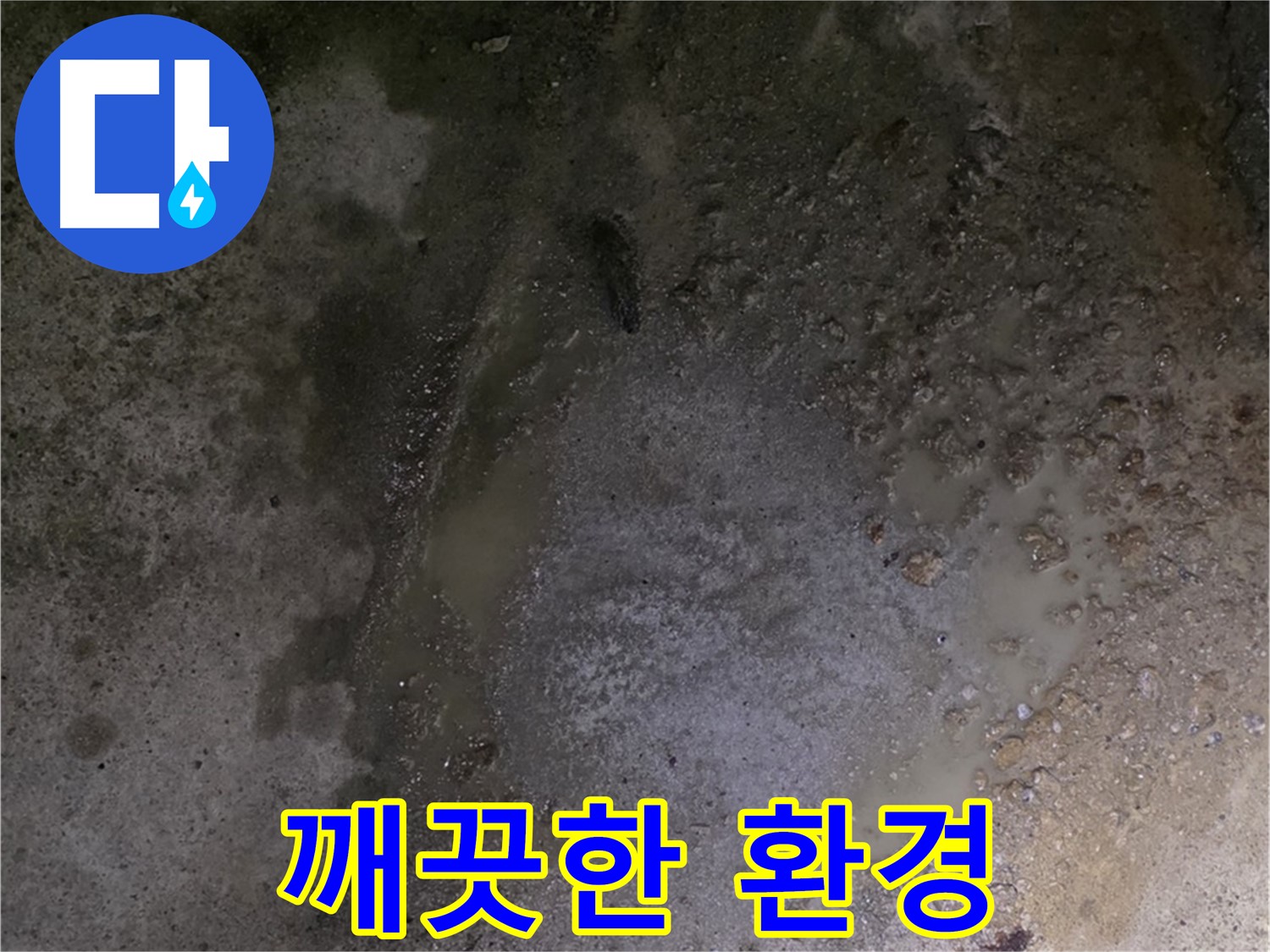 강원특별자치도 철원군 서면 와수리 누수 현장 - 누수 해결 후 깨끗한 환경 복원을 통해 고객 만족을 최우선으로 생각합니다.