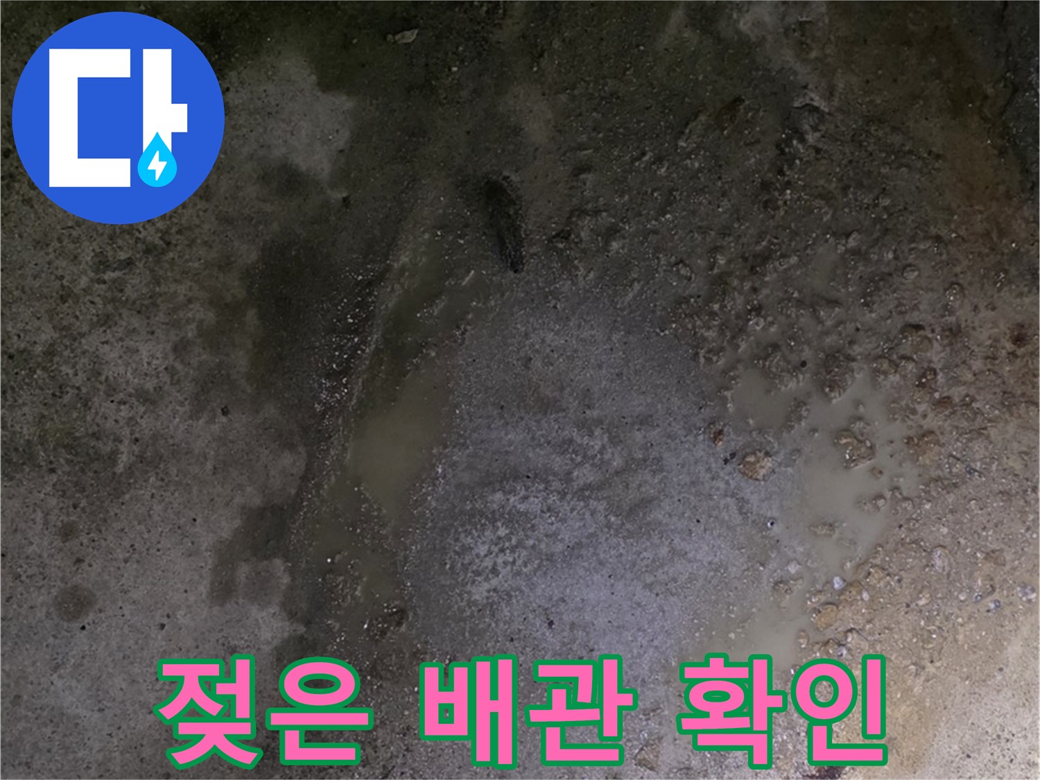 강원특별자치도 철원군 서면 와수리 누수 현장 - 젖은 배관을 확인하여 누수 발생 위치를 정밀 분석하고 있습니다.