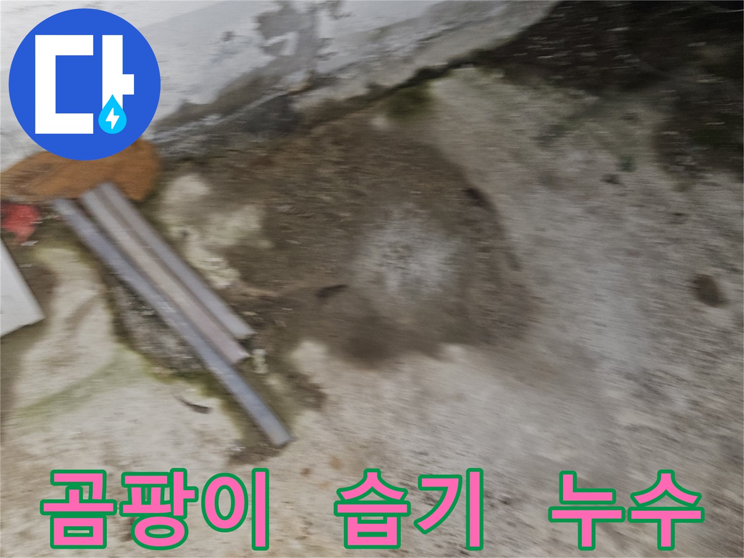 철원 와수리 - 곰팡이와 습기는 누수의 확실한 증거