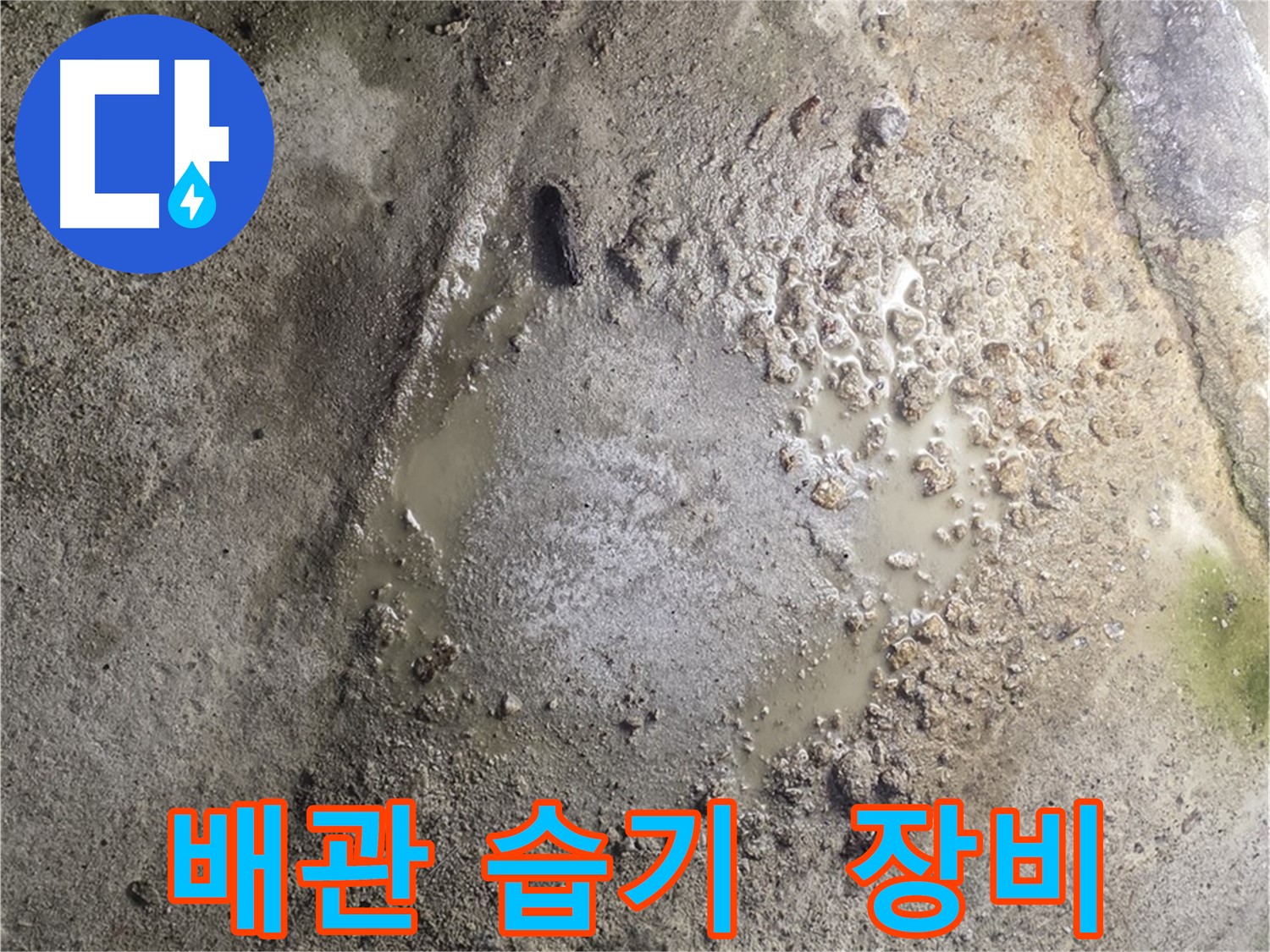 철원군 서면 와수리 누수 - 배관 주변 습기, 전문 장비로 꼼꼼하게 누수 원인을 점검합니다.