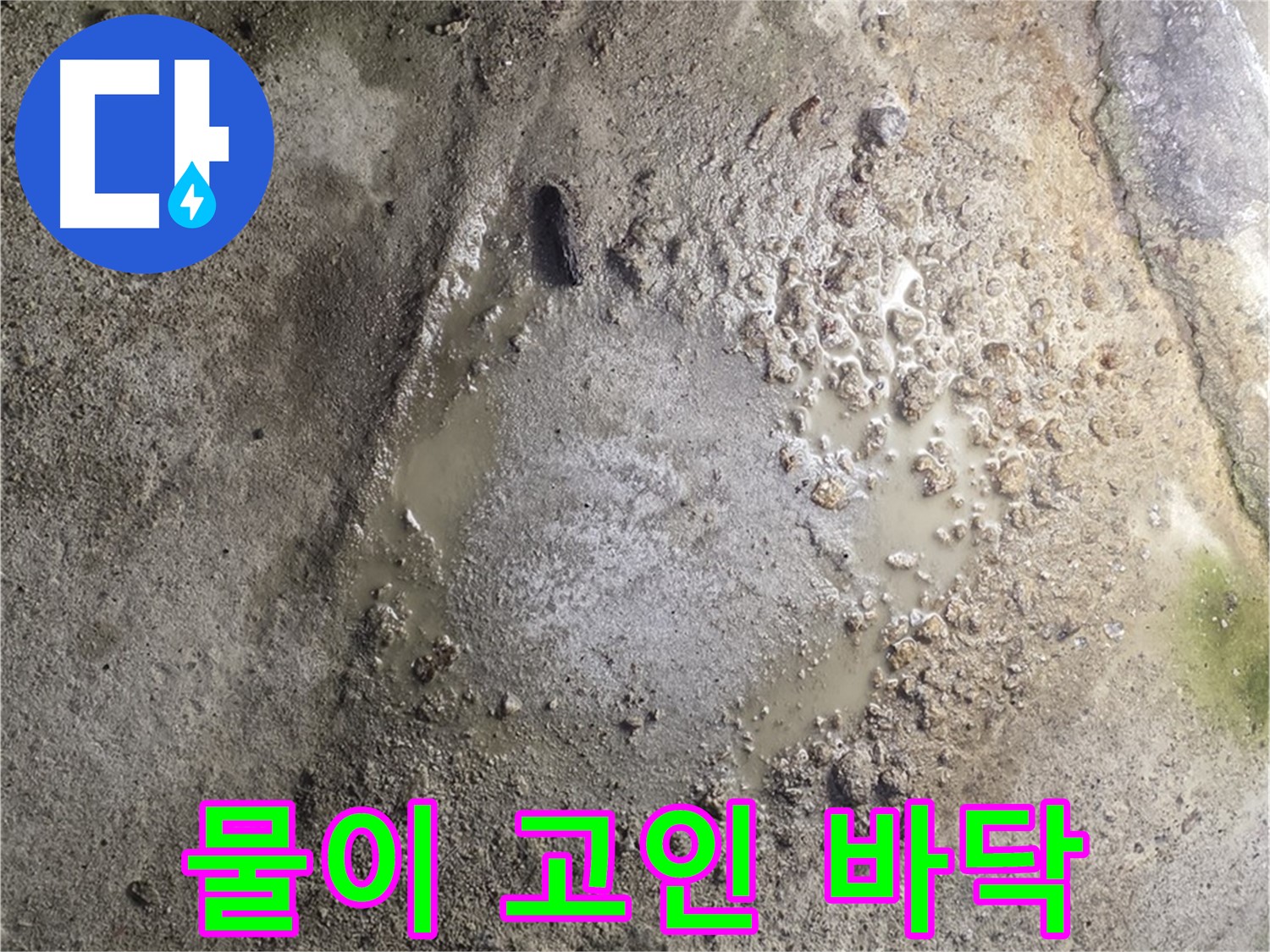 철원군 서면 와수리 누수 현장 - 물이 고인 바닥을 보여주며 누수 해결 전문가가 해결에 나서는 모습입니다.