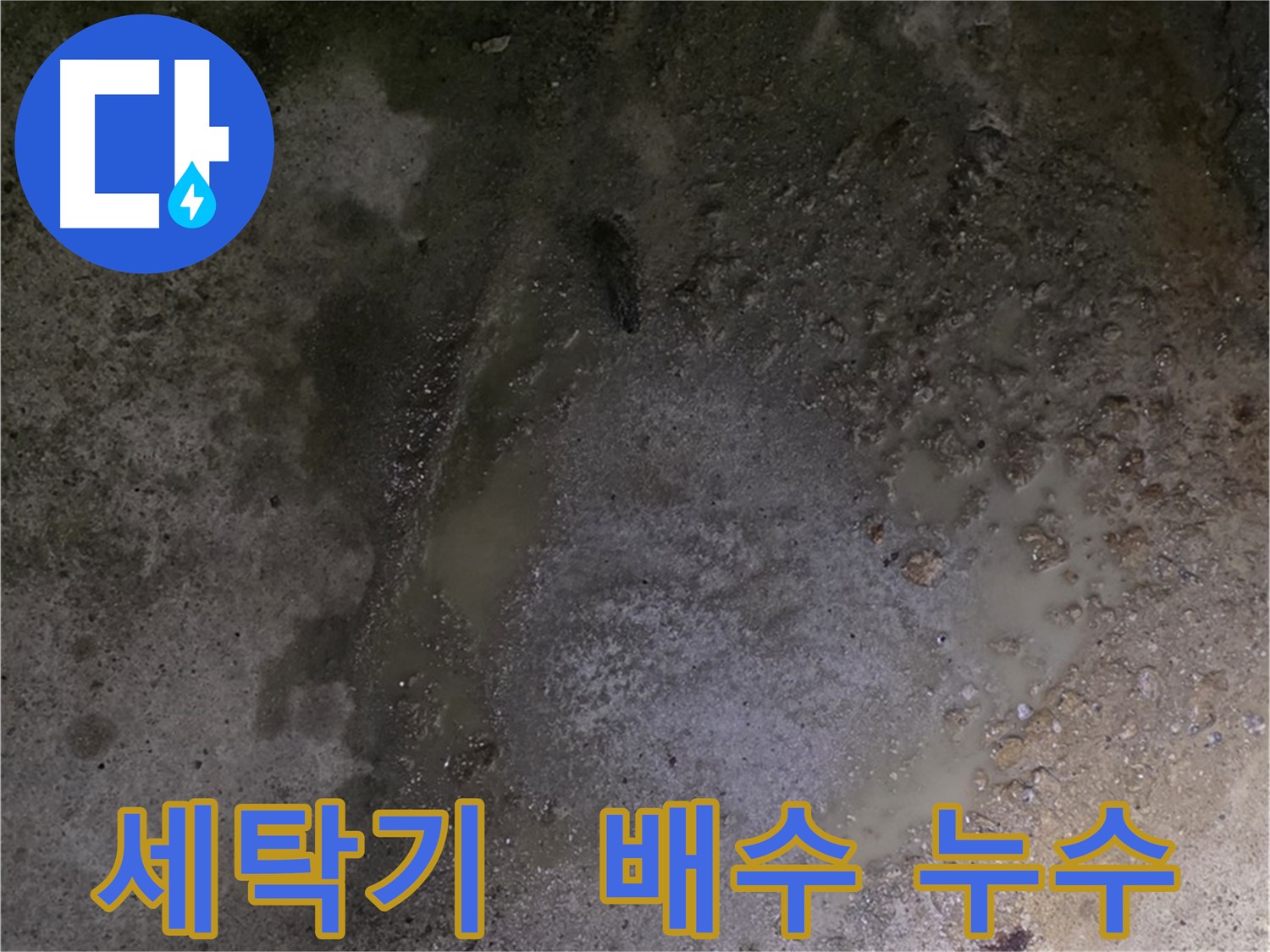 철원군 서면 와수리 누수 현장 - 세탁기 배수 호스에서 누수가 발생하여 세탁실 전체를 점검하고 있습니다.