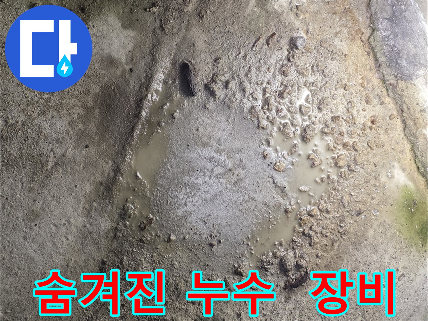 철원군 서면 와수리 누수 현장 - 숨겨진 누수를 첨단 장비를 사용하여 정확하게 탐지하는 모습입니다.