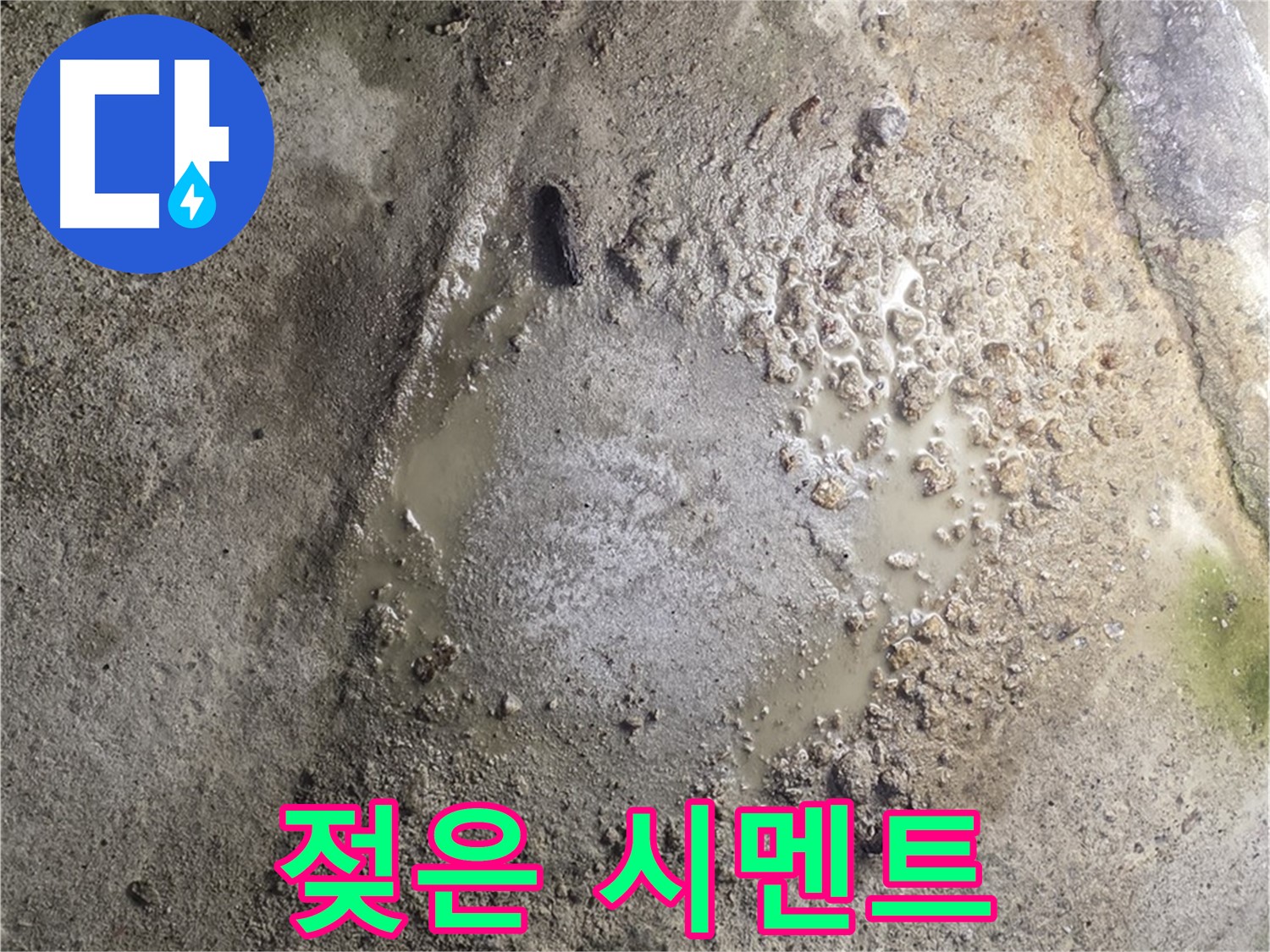 철원군 서면 와수리 누수 현장 - 젖은 시멘트, 누수 탐지 전문가의 꼼꼼한 손길로 해결합니다.