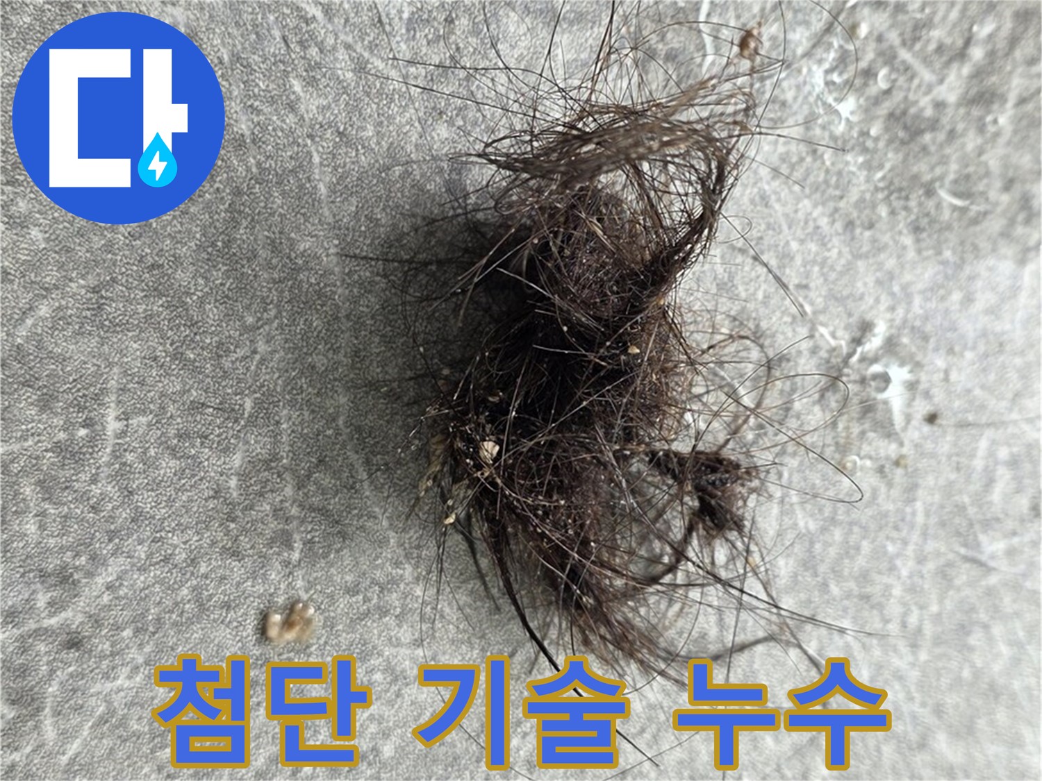 첨단 기술 누수 - 첨단 기술력으로 숨겨진 누수까지 완벽하게 찾아냅니다.