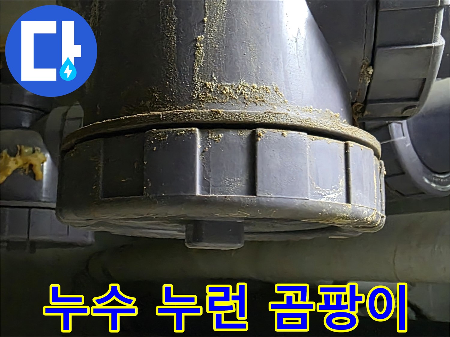 PVC 배관 연결부 누수 흔적 - 건물 내부 습도 상승 및 누런 곰팡이 발생