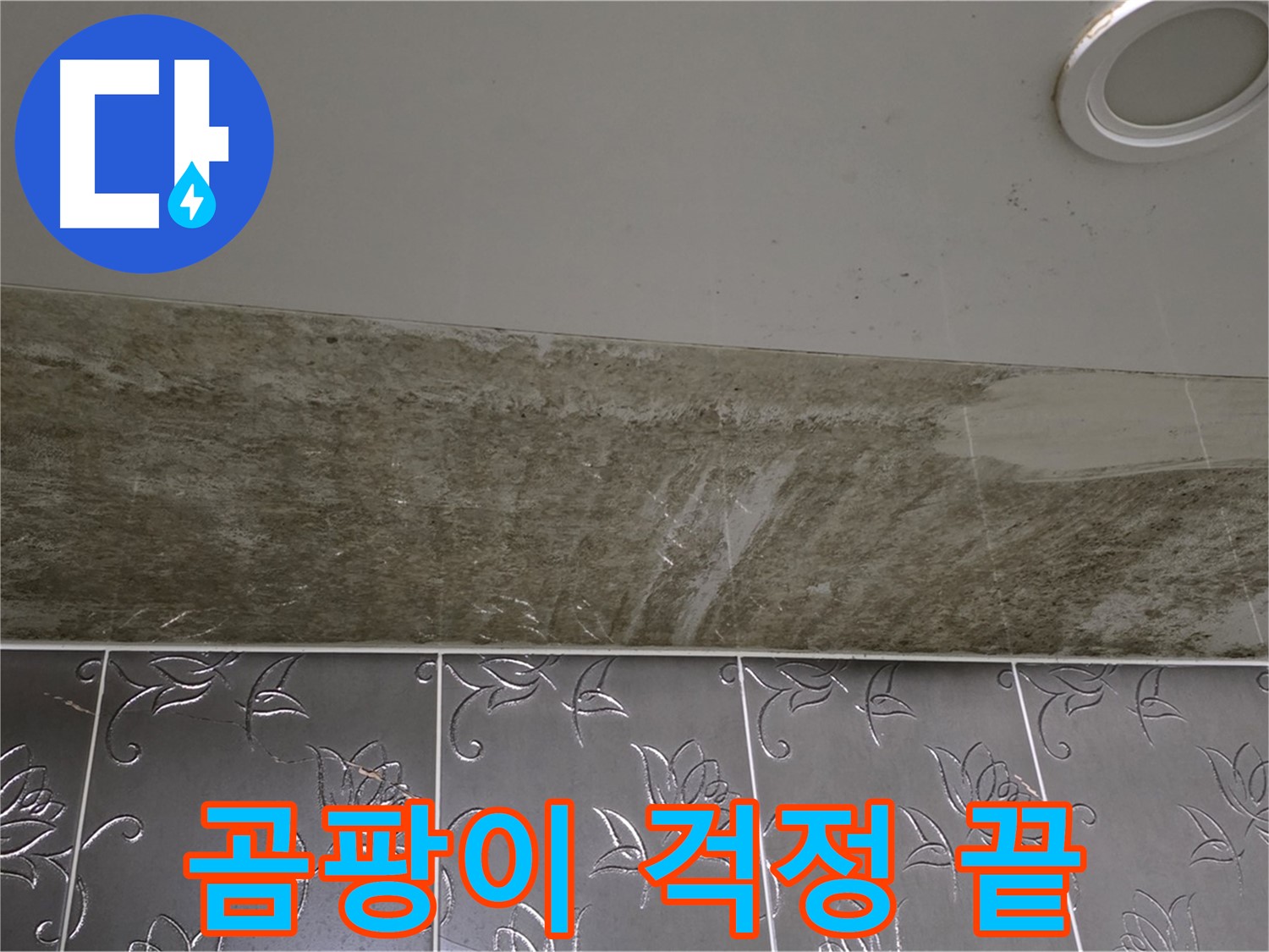 곰팡이 가득한 화장실 - 누수 해결, 완벽 차단! 곰팡이 걱정 끝!