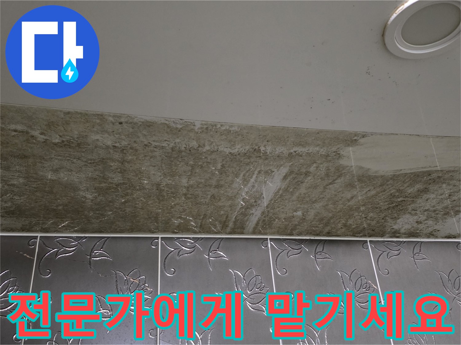 곰팡이 심한 욕실 - 누수, 늦기 전에 전문가에게 맡기세요!