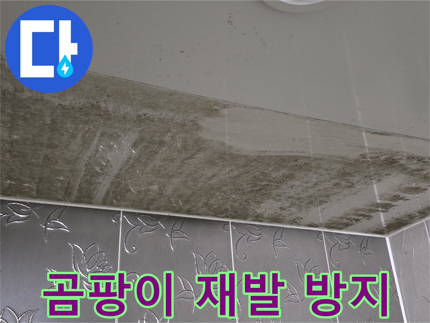 곰팡이 욕실 - 재발 방지를 위한 완벽한 시공과 책임감