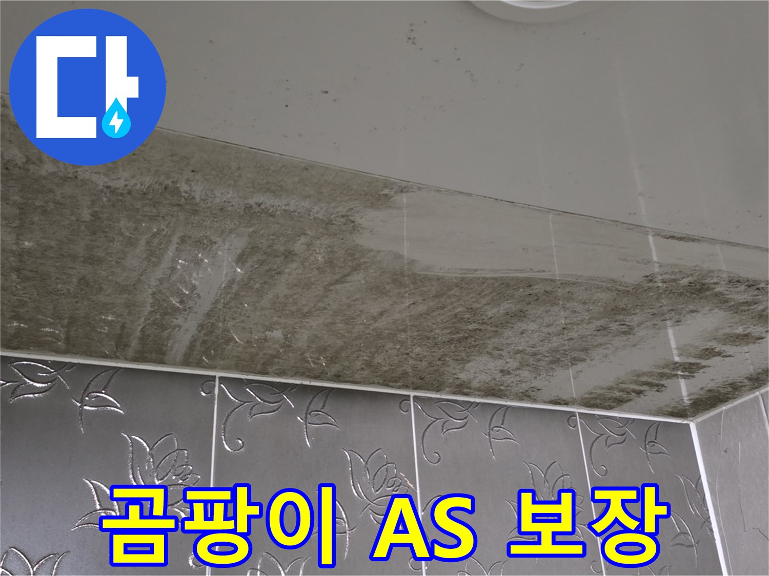 곰팡이 욕실 - 재발 방지를 위한 완벽한 시공과 책임감 있는 A/S 보장!