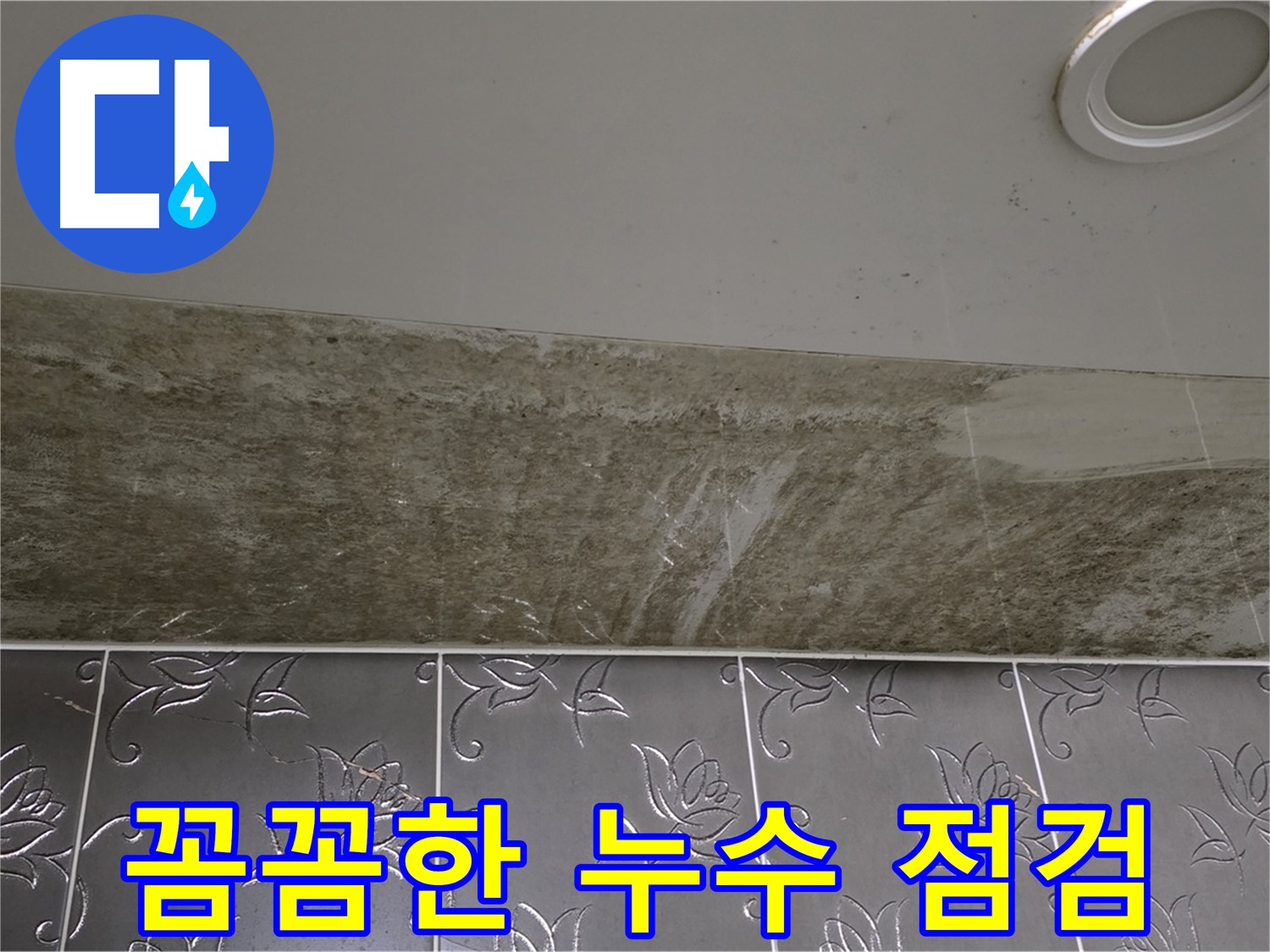 곰팡이 핀 화장실 천장 - 꼼꼼한 누수 점검 진행
