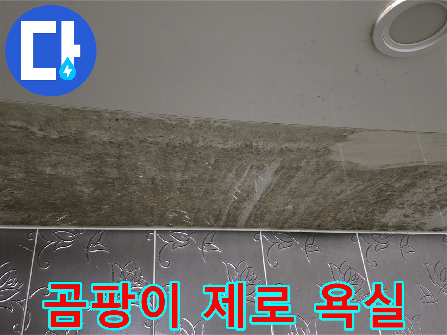 곰팡이 핀 화장실 천장 - 쾌적한 욕실, 곰팡이 제로 도전