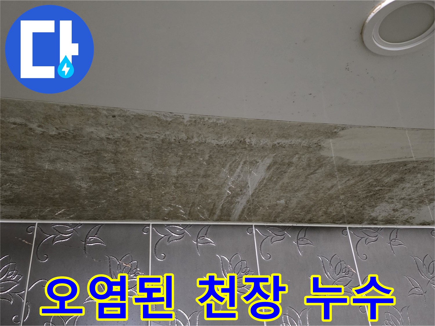 곰팡이로 오염된 화장실 천장 - 누수 진단 요청