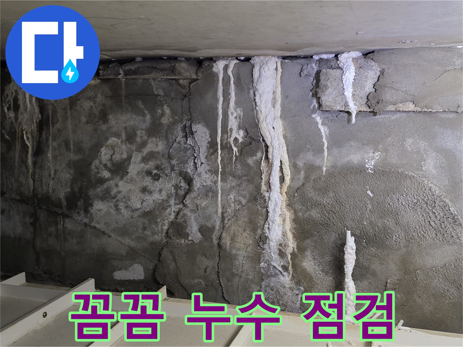 분당 운중동 건물 누수 - 꼼꼼한 점검, 누수 초기 진단!