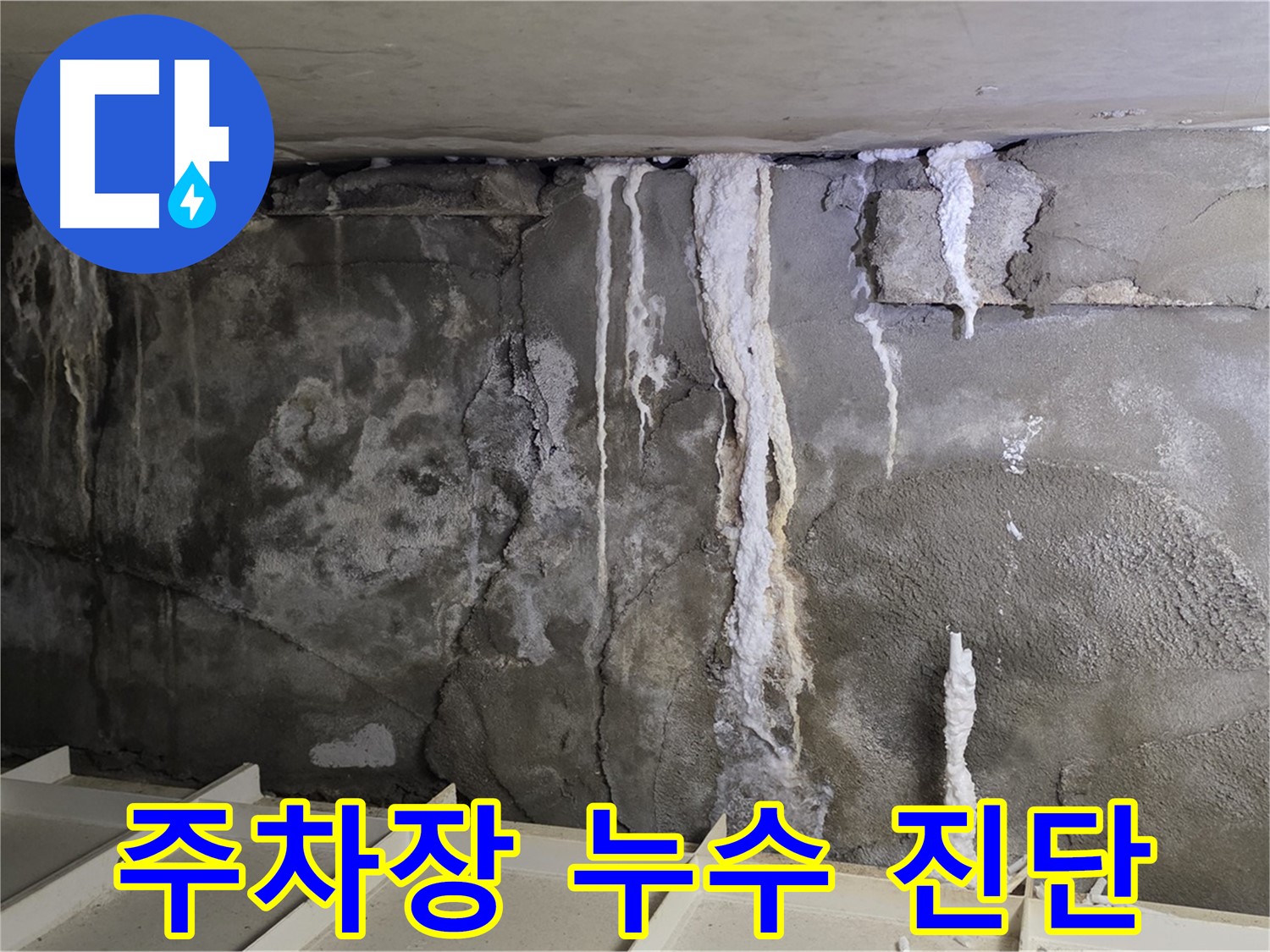 분당 운중동 건물 누수 - 주차장 누수 - 꼼꼼 진단 서비스