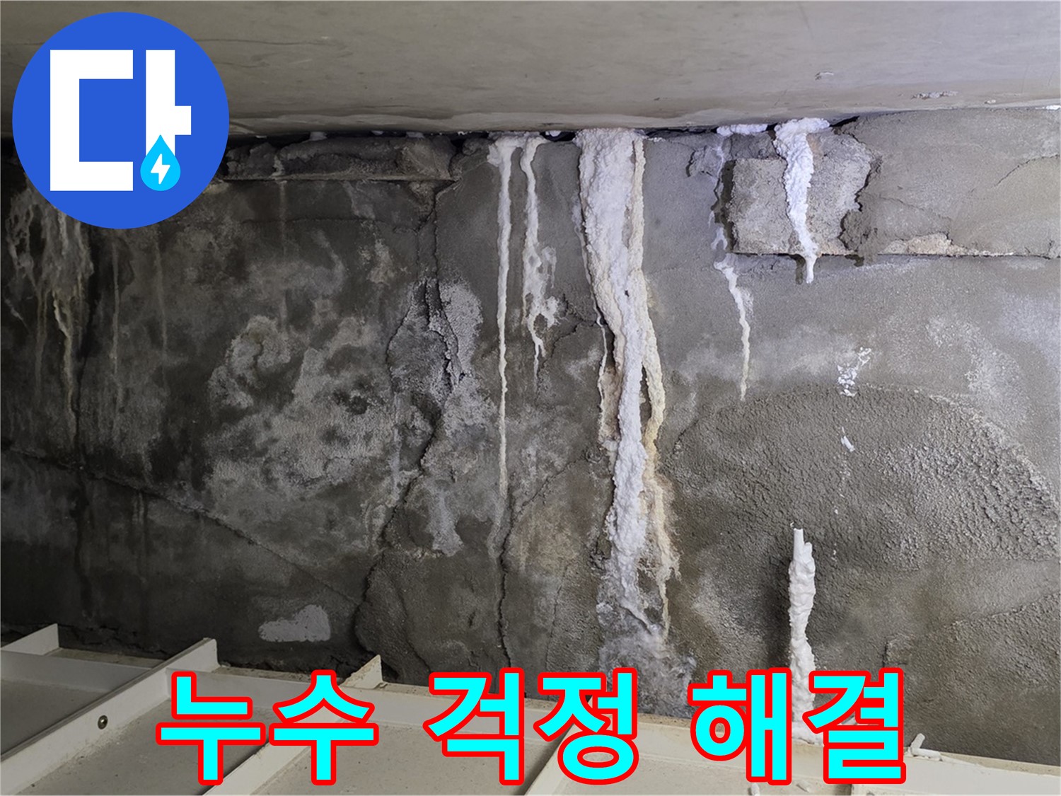 분당 운중동 건물 누수 - 주차장 누수 - 누수 걱정 이제 끝!
