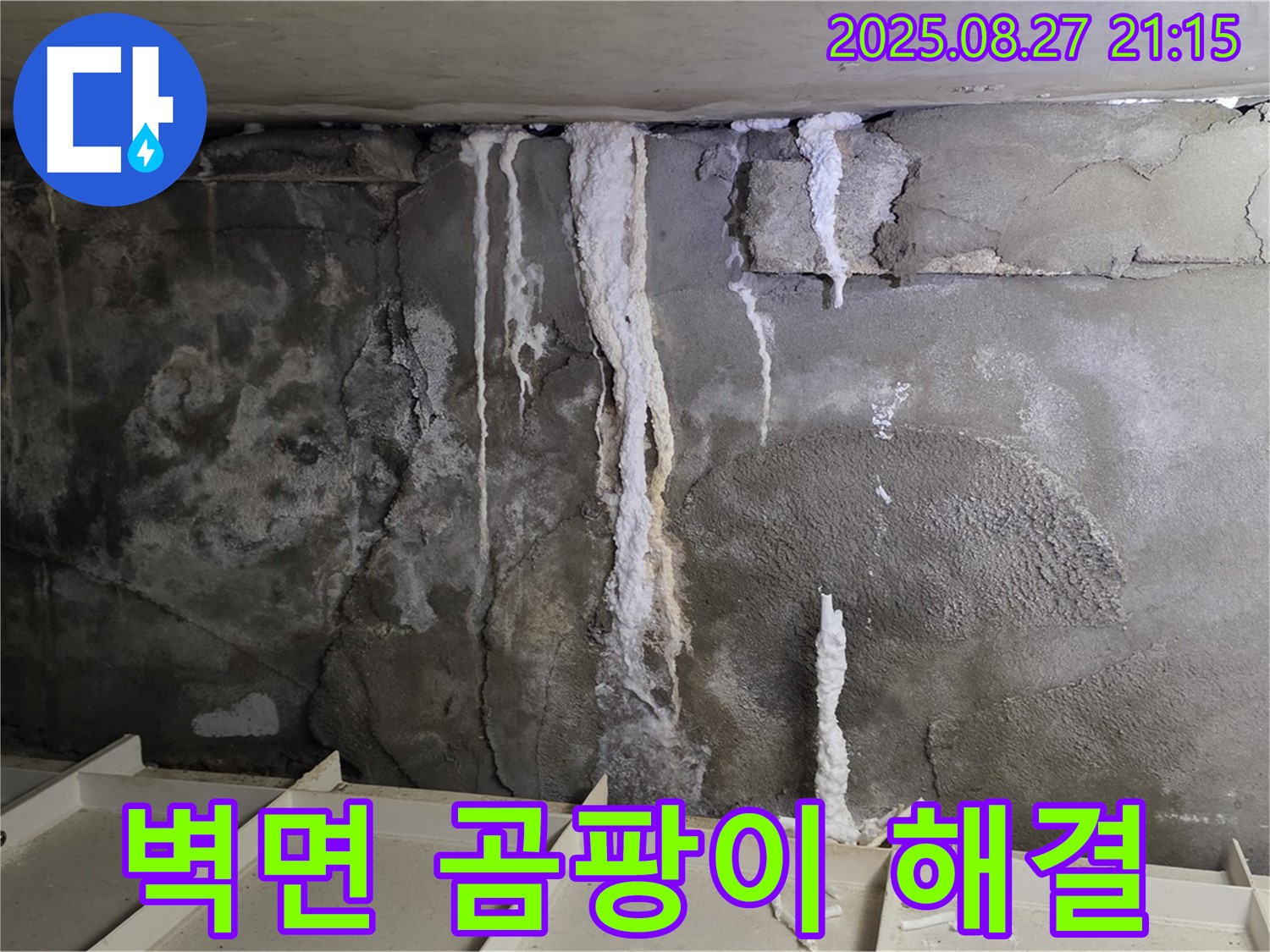 분당 운중동 산운로 주차장 벽면 - 곰팡이와 백화현상으로 얼룩졌던 벽면이 깨끗하게 되살아난 모습을 담았습니다.