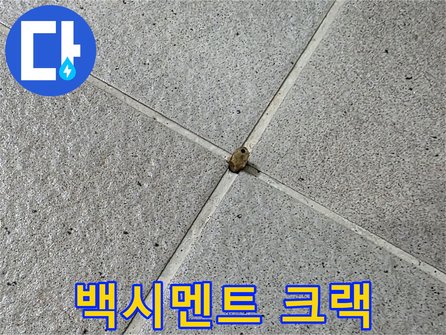 분당구 운중동 산운마을 - 타일 사이 백시멘트 크랙은 누수의 시작일 수 있습니다.