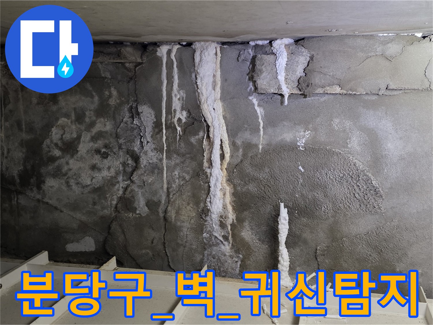 분당구 콘크리트 벽 - 석회수 분석, 누수 지점 귀신 탐지