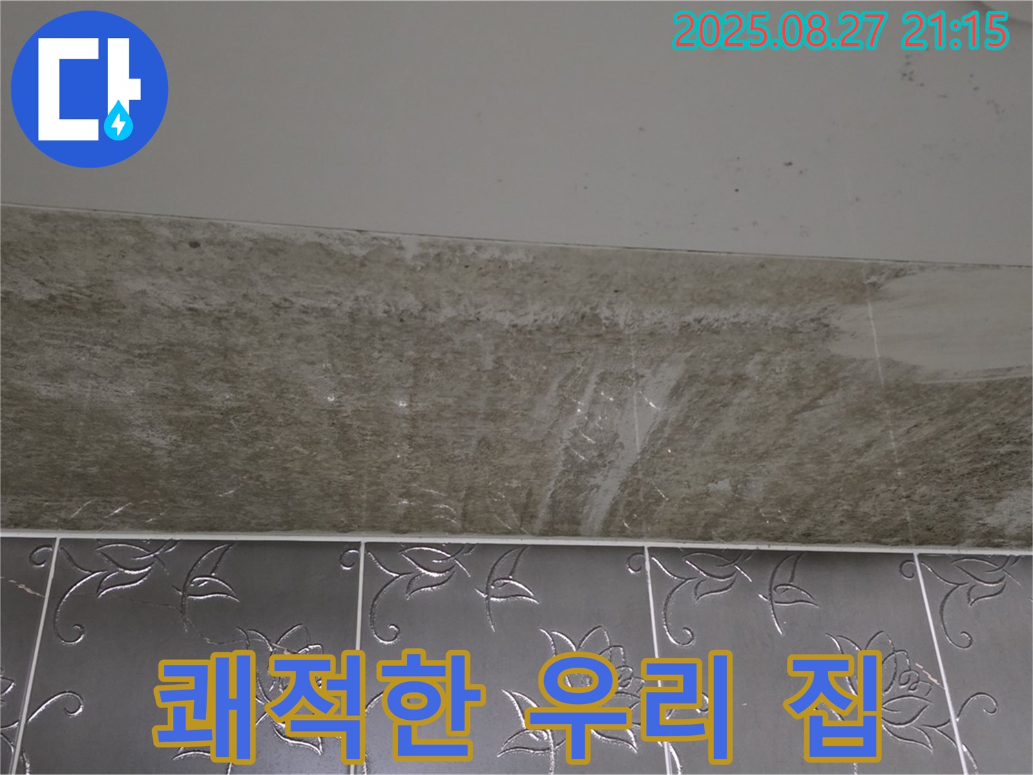 산운로 곰팡이 - 곰팡이 해결! 쾌적한 우리 집!