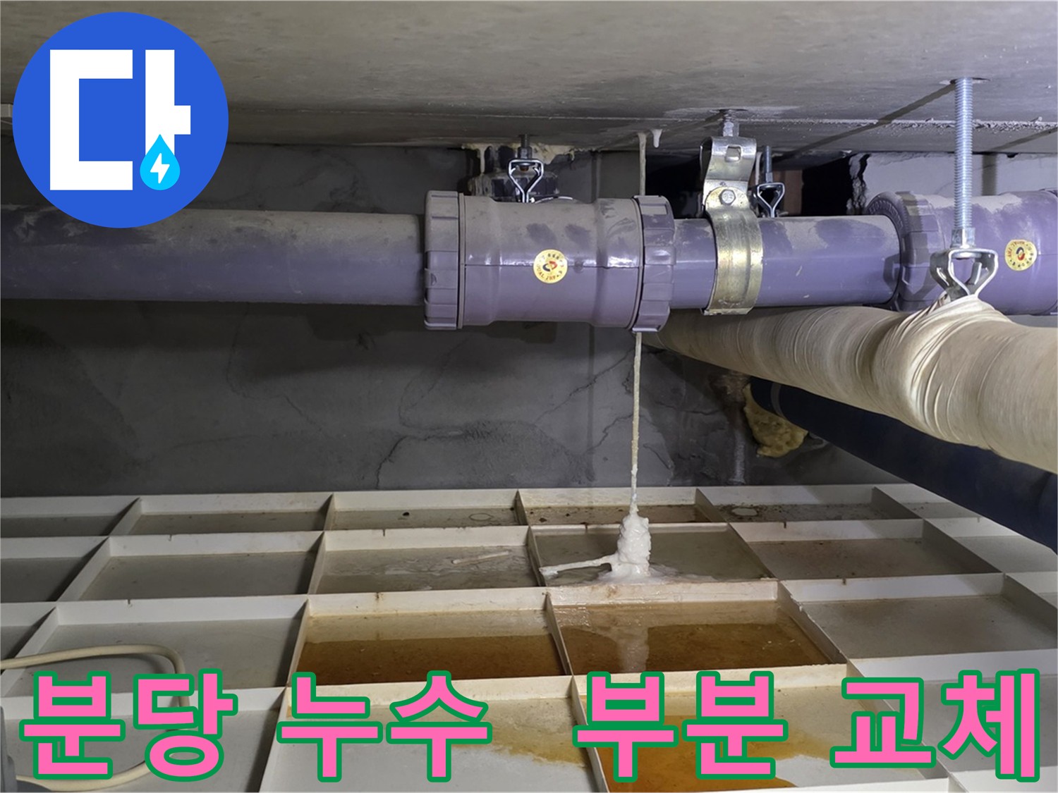 분당 누수 - 낡은 배관 연결부 부분 교체로 비용 절감 효과