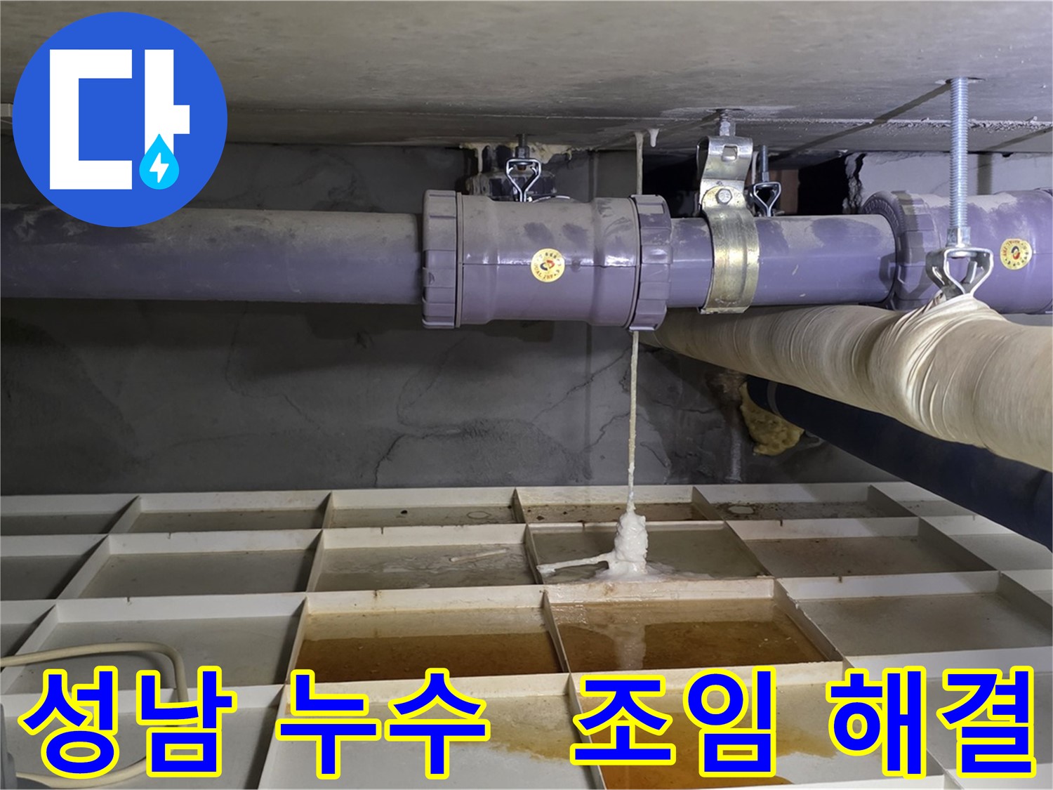 성남 배관 누수 - 연결 부위 헐거움, 신속한 조임 작업으로 누수 해결