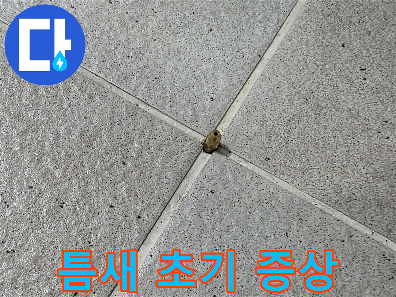 성남 분당 산운로 아파트 - 타일 틈새 누수, 초기 증상부터 잡아야 합니다.