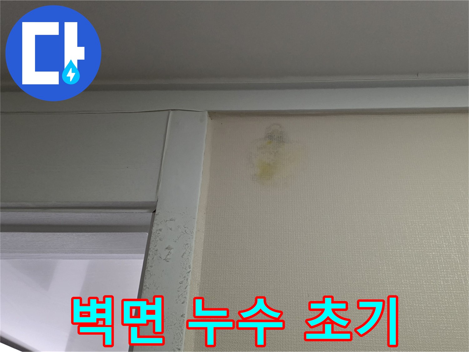 성남 분당 운중동 산운마을 6단지 아파트 벽면 누수 초기 발견 - 신속한 누수 탐지 및 해결