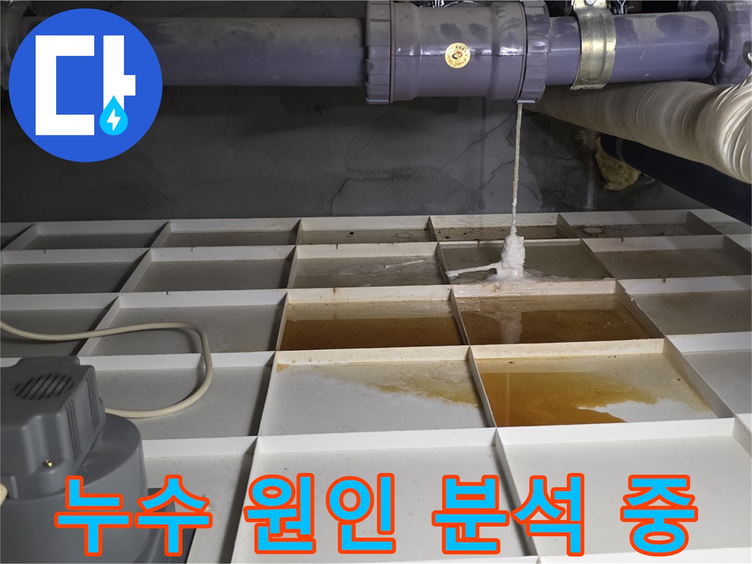 성남 분당 운중동 산운마을 6단지에서 누수 원인을 분석하고 있는 모습 - 정확한 진단이 문제 해결의 시작입니다.