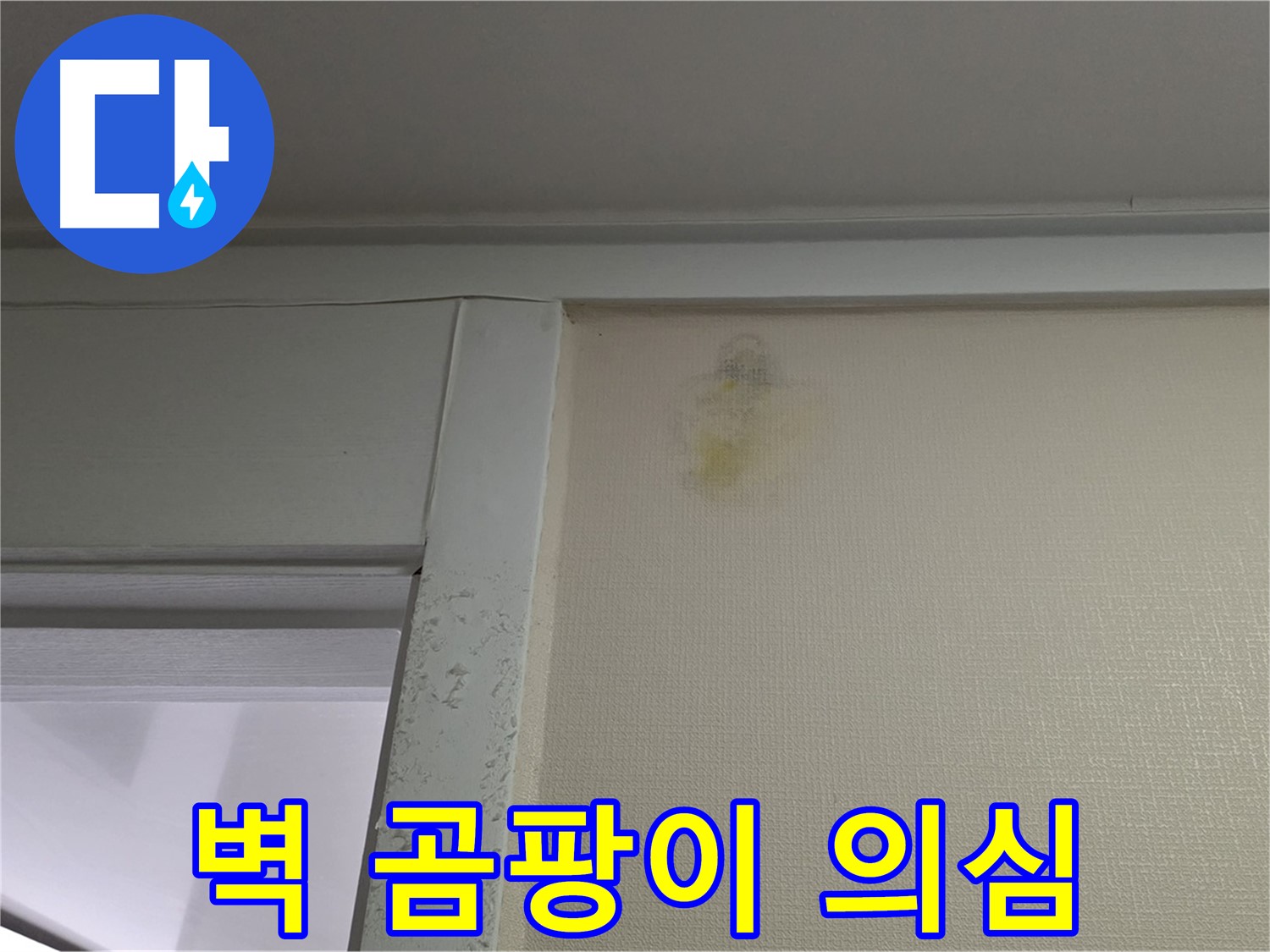 성남 분당 운중동 산운마을 아파트 벽 주변 곰팡이 - 누수 초기 의심 및 진단