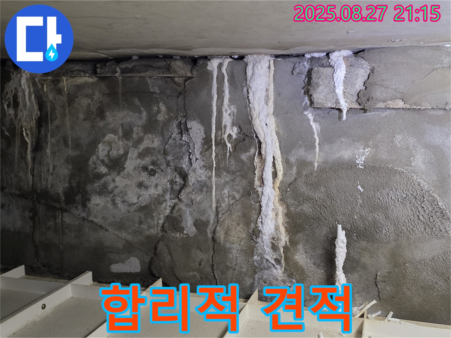 성남 분당 운중동 산운마을6단지 콘크리트 누수 - 합리적인 견적으로 누수 해결