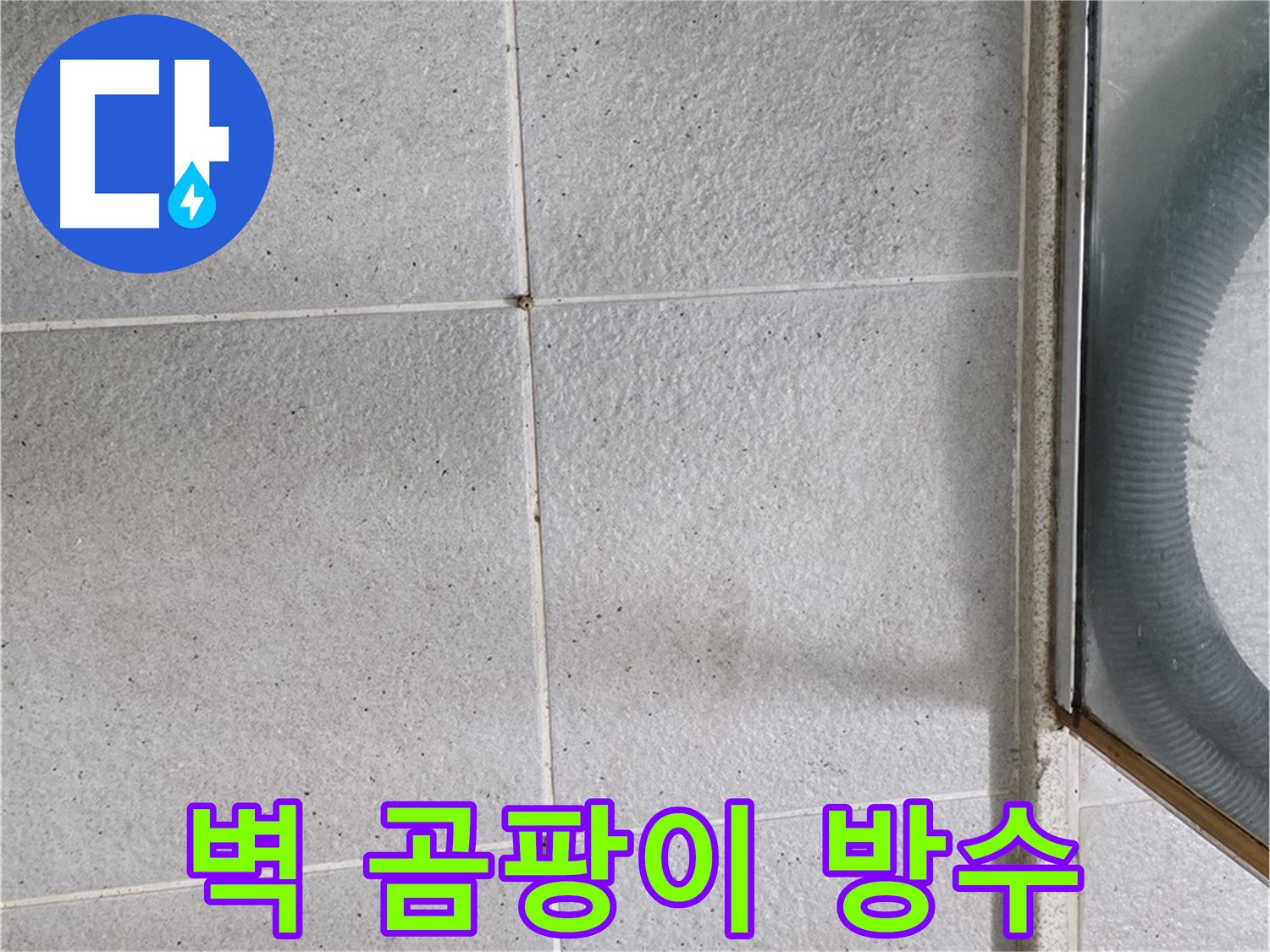 성남 분당 운중동 욕실 벽 - 곰팡이 제거 후 방수 작업으로 누수 걱정 없이 쾌적하게.