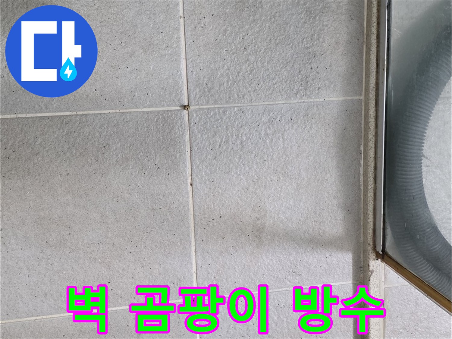 성남 분당 운중동 욕실 벽 - 곰팡이 제거 후 방수 작업으로 누수 걱정 없이 쾌적하게.