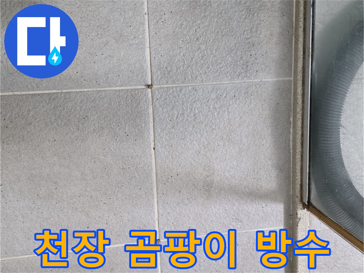 성남 분당 운중동 욕실 천장 - 곰팡이 제거 후 방수 작업으로 누수를 해결합니다.