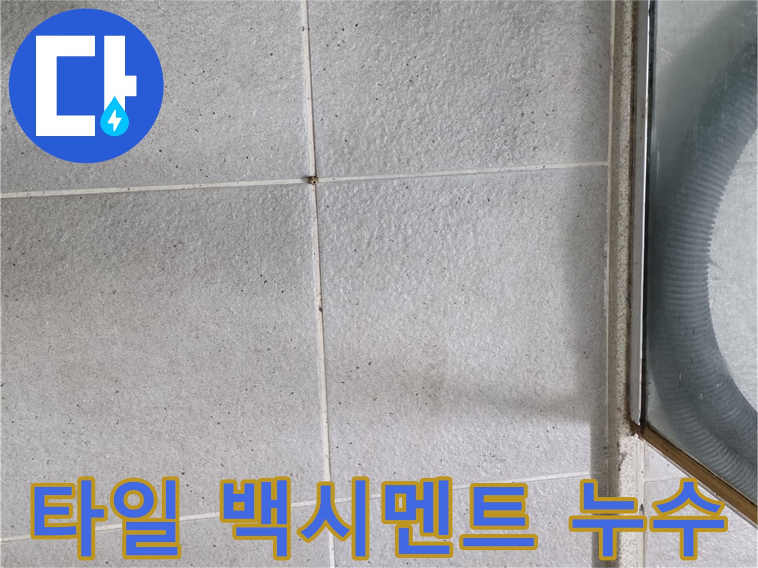 성남 분당구 운중동 욕실 타일 사이 백시멘트 들뜸으로 인한 누수 - 문제 부분을 정확히 진단하고 보수하는 과정을 보여줍니다.