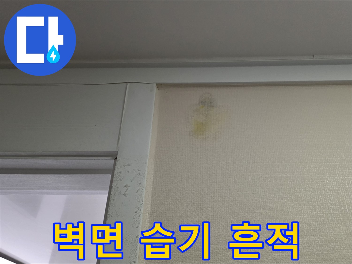 성남시 분당구 운중동 산운마을 아파트 벽면 습기 흔적 - 초기 누수 진단 및 습도 측정
