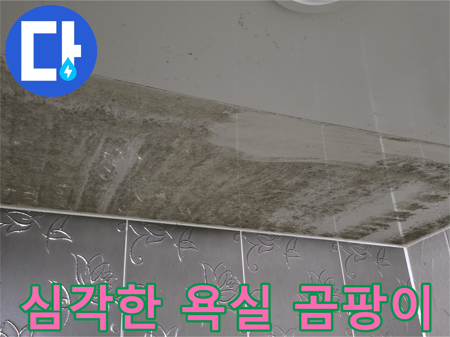 심각한 욕실 곰팡이 - 긴급 누수 해결을 위한 전문적인 진단