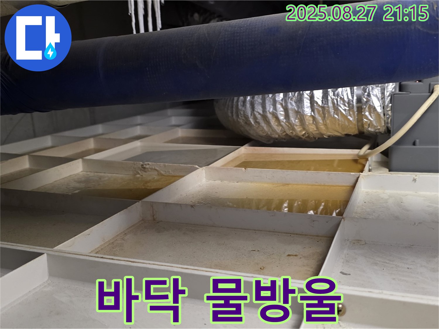 운중동 산운마을 누수 현장 - 격자 바닥에 맺힌 물방울 - 배관 연결 부위 누수를 의심하고 꼼꼼하게 점검하고 있습니다.